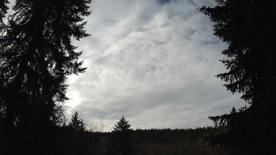 Pacific Northwest skyline timelapse frame from Jan 9th, 2026 at 11:45 AM