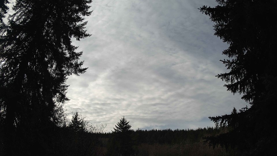 Pacific Northwest skyline timelapse frame from Jan 9th, 2026 at 12:00 PM
