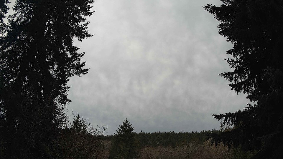 Pacific Northwest skyline timelapse on Jan 10th, 2026 at 12:30 PM