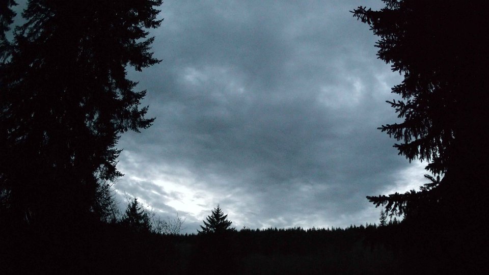 Pacific Northwest skyline timelapse on Jan 10th, 2026 at 5:15 PM