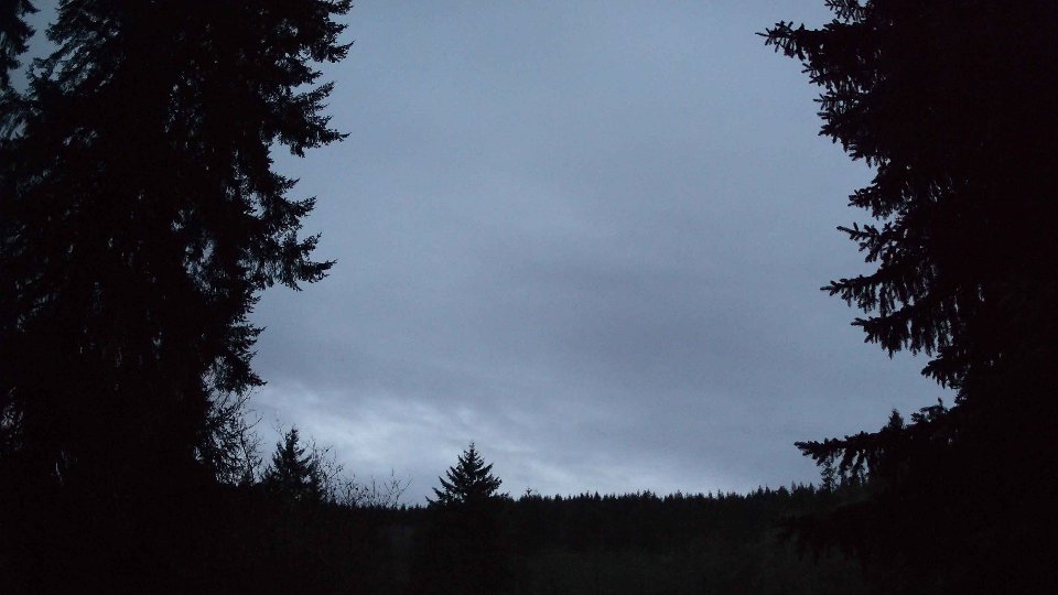 Pacific Northwest skyline timelapse frame from Jan 11th, 2026 at 7:30 AM