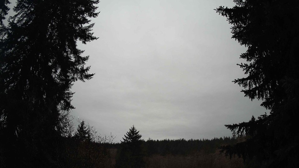 Pacific Northwest skyline timelapse frame from Jan 11th, 2026 at 8:00 AM