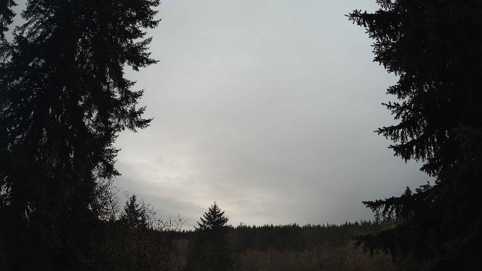 Pacific Northwest skyline timelapse frame from Jan 11th, 2026 at 8:15 AM