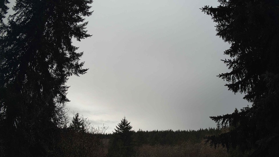 Pacific Northwest skyline timelapse frame from Jan 11th, 2026 at 8:30 AM
