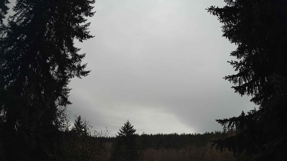 Pacific Northwest skyline timelapse frame from Jan 11th, 2026 at 8:45 AM