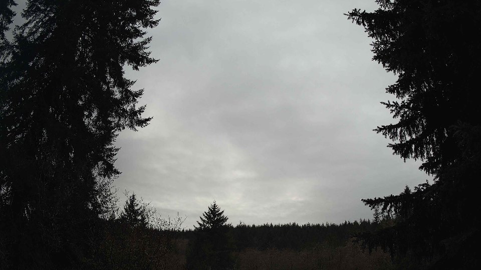 Pacific Northwest skyline timelapse frame from Jan 11th, 2026 at 10:00 AM