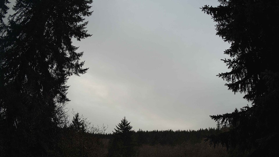 Pacific Northwest skyline timelapse frame from Jan 11th, 2026 at 10:15 AM