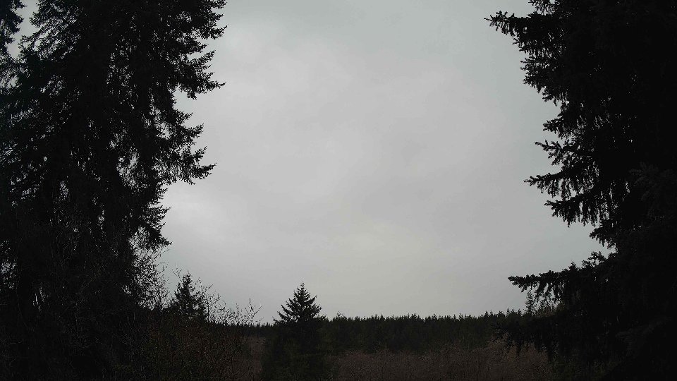 Pacific Northwest skyline timelapse frame from Jan 11th, 2026 at 11:00 AM