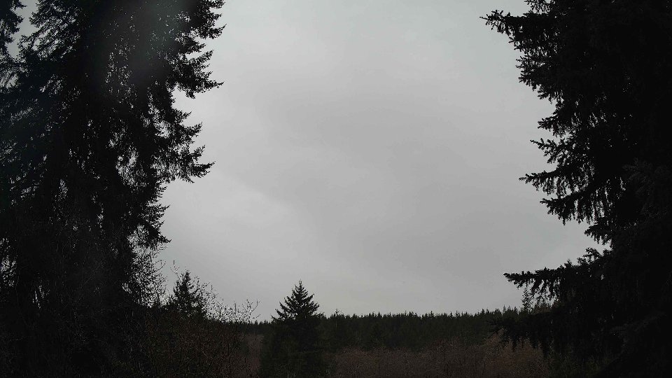 Pacific Northwest skyline timelapse frame from Jan 11th, 2026 at 11:15 AM