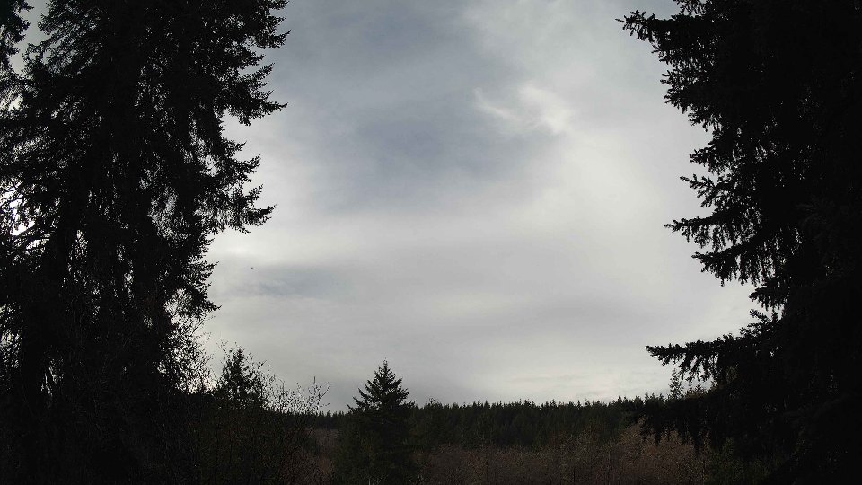 Pacific Northwest skyline timelapse frame from Jan 11th, 2026 at 12:15 PM