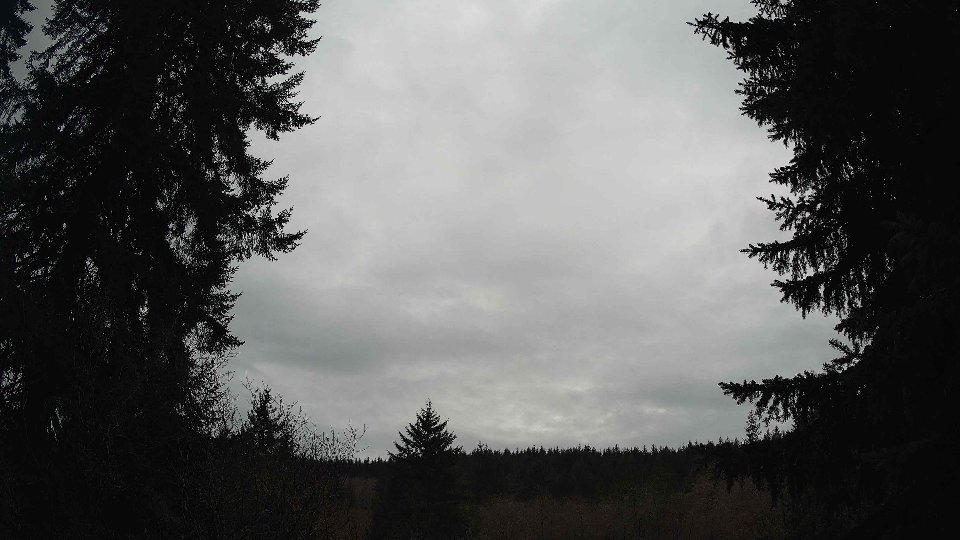 Pacific Northwest skyline timelapse frame from Jan 11th, 2026 at 1:30 PM
