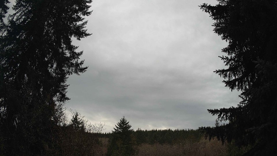 Pacific Northwest skyline timelapse frame from Jan 11th, 2026 at 3:00 PM