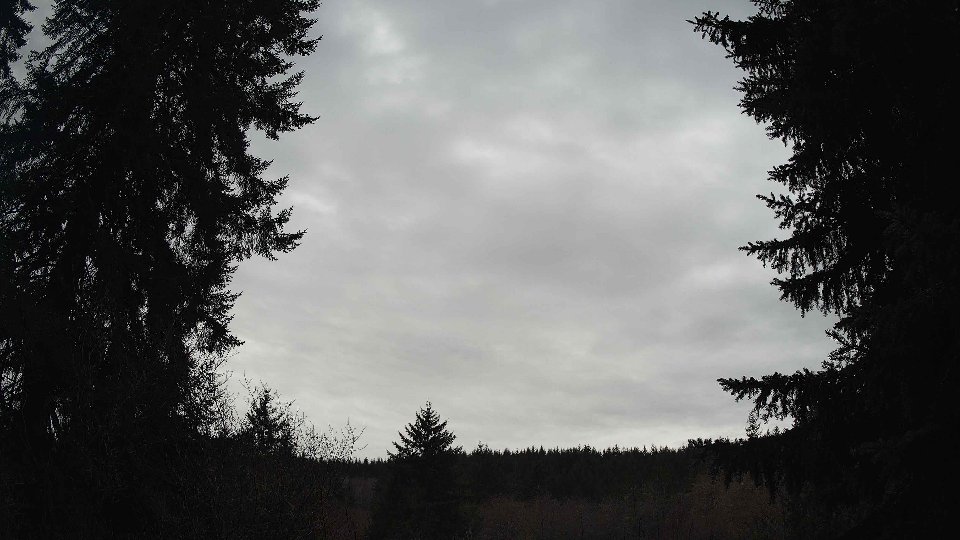 Pacific Northwest skyline timelapse frame from Jan 11th, 2026 at 3:15 PM