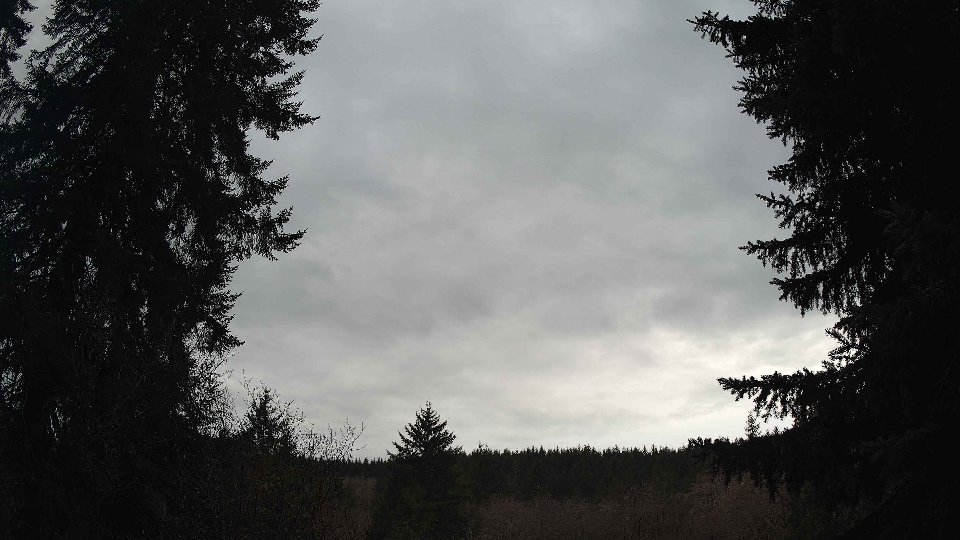 Pacific Northwest skyline timelapse frame from Jan 11th, 2026 at 3:30 PM