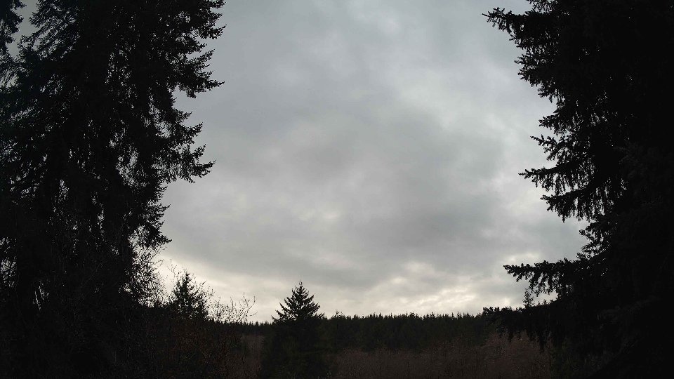 Pacific Northwest skyline timelapse frame from Jan 11th, 2026 at 4:00 PM