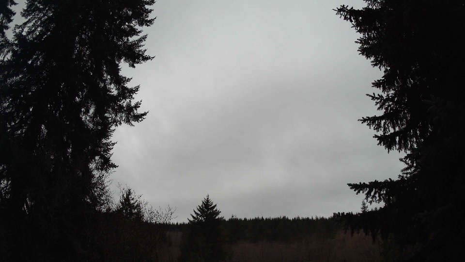 Pacific Northwest skyline timelapse frame from Jan 12th, 2026 at 7:45 AM
