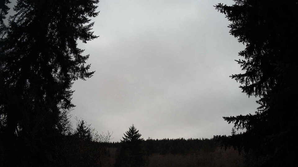 Pacific Northwest skyline timelapse frame from Jan 12th, 2026 at 8:00 AM