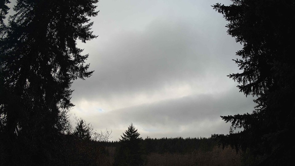 Pacific Northwest skyline timelapse frame from Jan 12th, 2026 at 8:45 AM