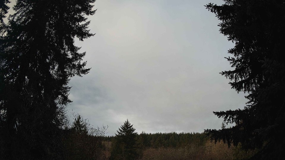Pacific Northwest skyline timelapse frame from Jan 12th, 2026 at 9:00 AM