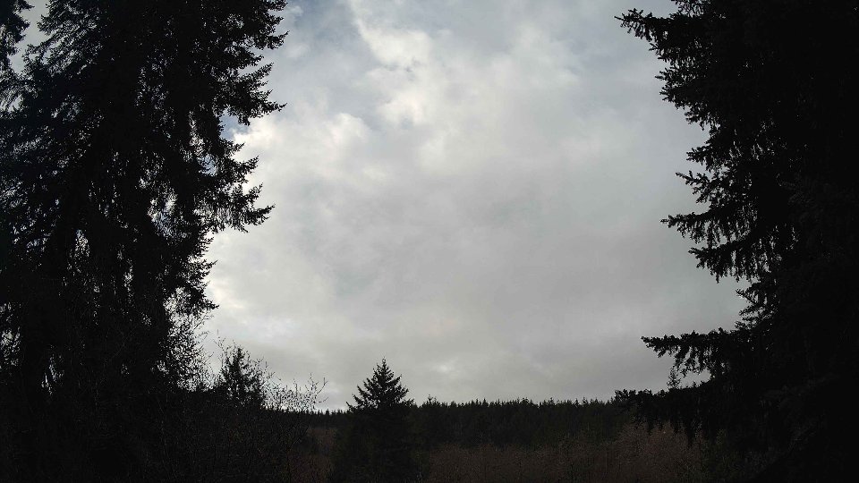 Pacific Northwest skyline timelapse frame from Jan 12th, 2026 at 9:15 AM