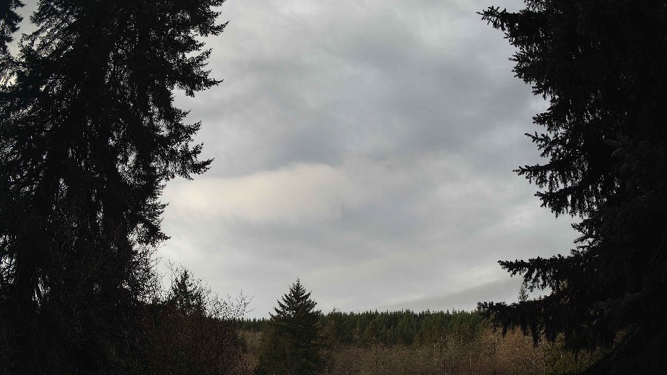 Pacific Northwest skyline timelapse frame from Jan 12th, 2026 at 9:45 AM