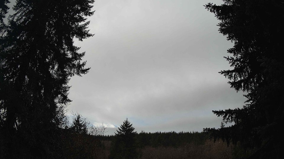 Pacific Northwest skyline timelapse frame from Jan 12th, 2026 at 10:15 AM
