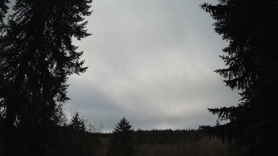 Pacific Northwest skyline timelapse frame from Jan 12th, 2026 at 10:30 AM