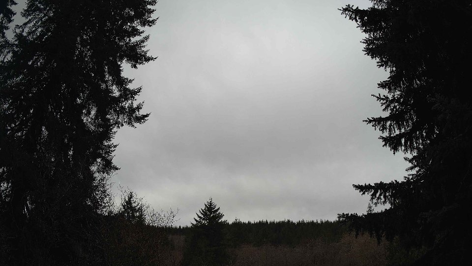 Pacific Northwest skyline timelapse frame from Jan 12th, 2026 at 11:15 AM