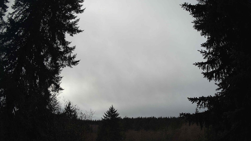 Pacific Northwest skyline timelapse frame from Jan 12th, 2026 at 11:30 AM