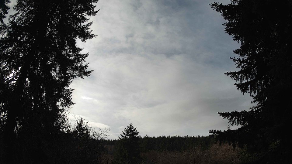 Pacific Northwest skyline timelapse frame from Jan 12th, 2026 at 12:30 PM