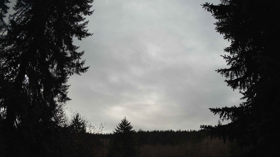 Pacific Northwest skyline timelapse frame from Jan 12th, 2026 at 1:00 PM
