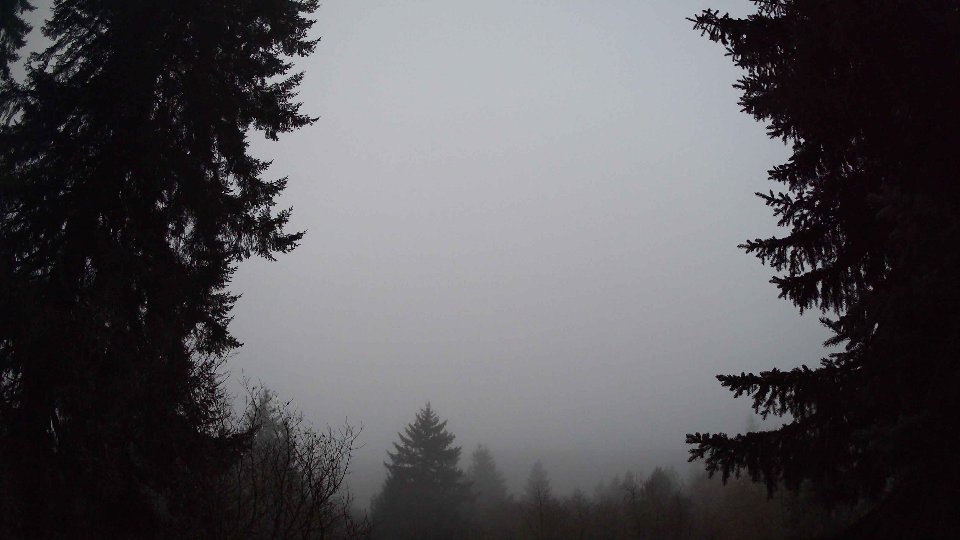 Pacific Northwest skyline timelapse frame from Jan 13th, 2026 at 7:30 AM