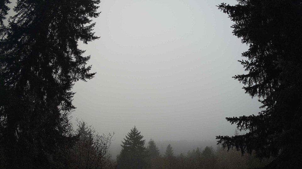 Pacific Northwest skyline timelapse frame from Jan 13th, 2026 at 8:30 AM