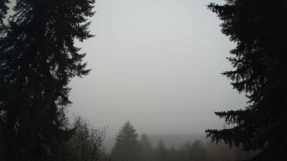 Pacific Northwest skyline timelapse frame from Jan 13th, 2026 at 8:45 AM