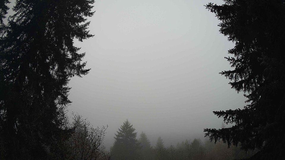 Pacific Northwest skyline timelapse frame from Jan 13th, 2026 at 9:00 AM
