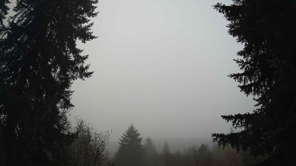 Pacific Northwest skyline timelapse frame from Jan 13th, 2026 at 9:15 AM
