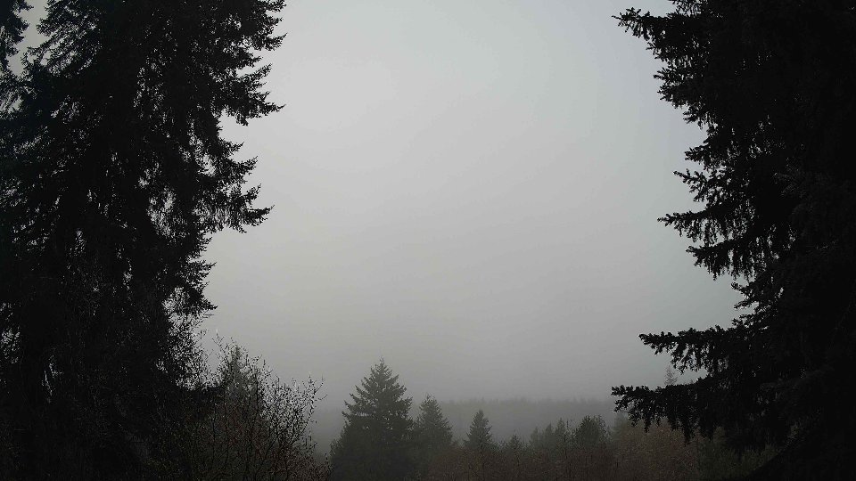 Pacific Northwest skyline timelapse frame from Jan 13th, 2026 at 10:15 AM
