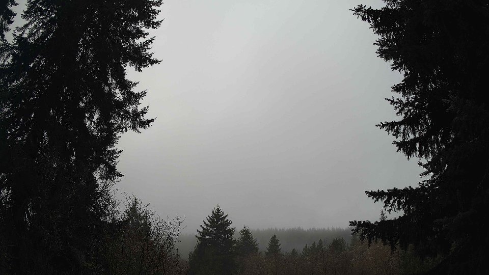 Pacific Northwest skyline timelapse frame from Jan 13th, 2026 at 11:00 AM