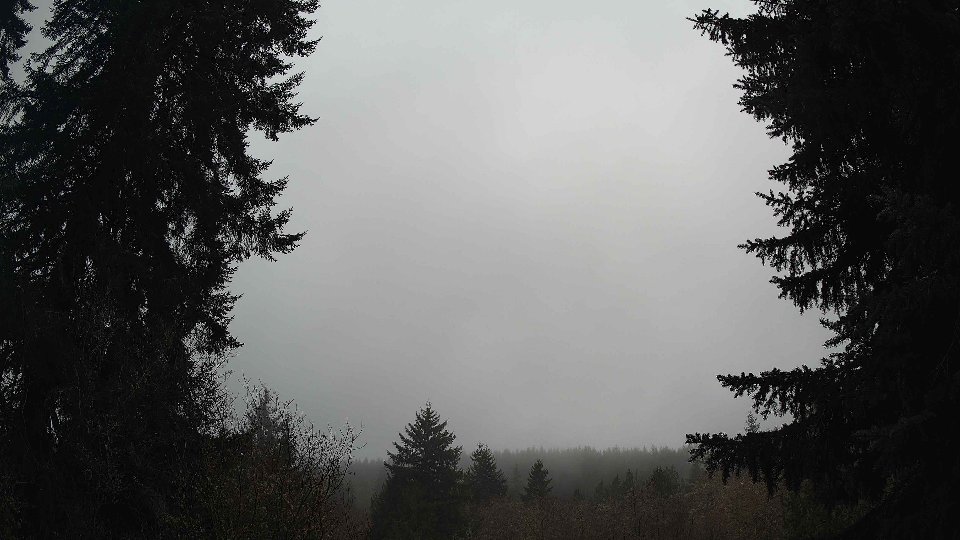 Pacific Northwest skyline timelapse frame from Jan 13th, 2026 at 11:15 AM