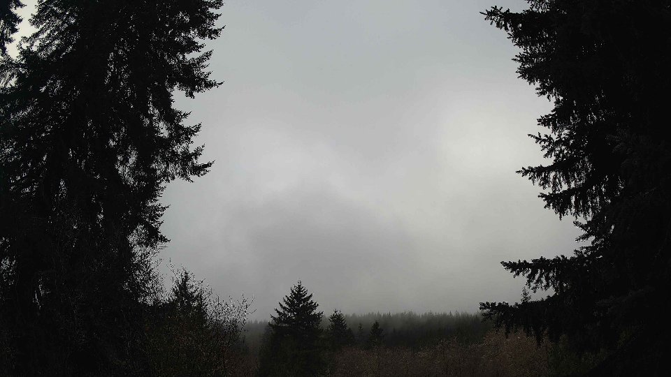 Pacific Northwest skyline timelapse frame from Jan 13th, 2026 at 11:30 AM
