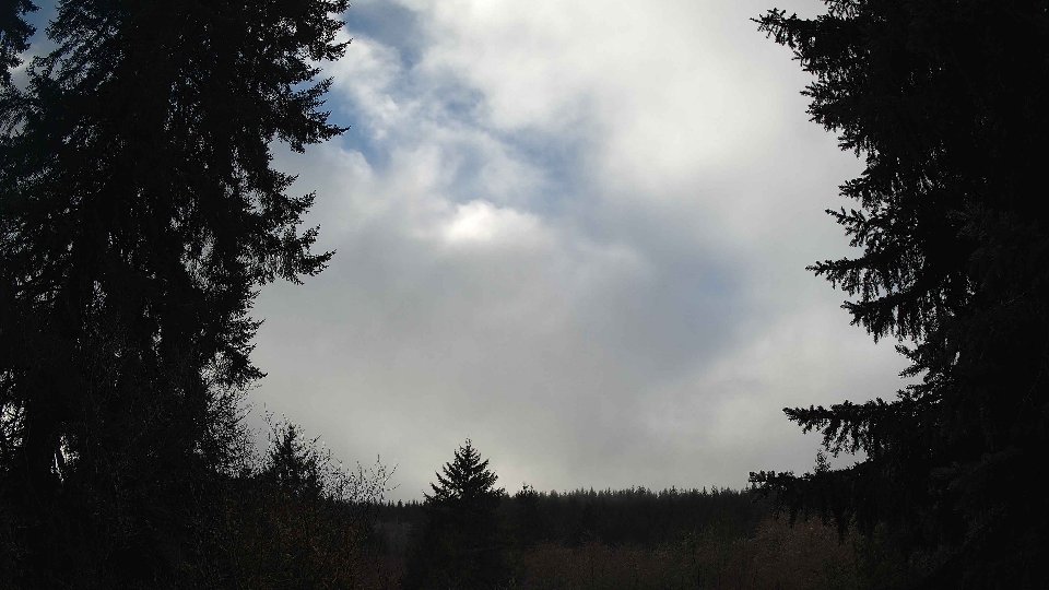 Pacific Northwest skyline timelapse frame from Jan 13th, 2026 at 1:00 PM