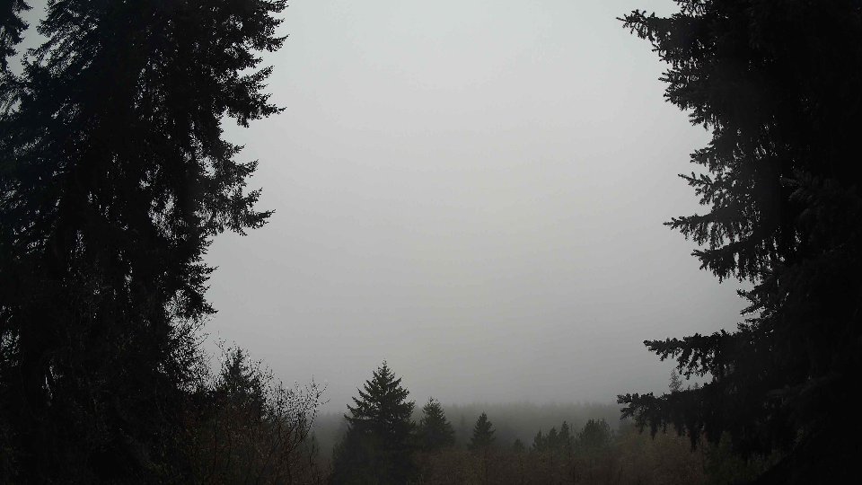 Pacific Northwest skyline timelapse frame from Jan 14th, 2026 at 8:00 AM