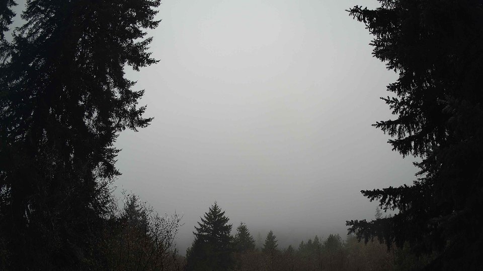 Pacific Northwest skyline timelapse frame from Jan 14th, 2026 at 8:30 AM