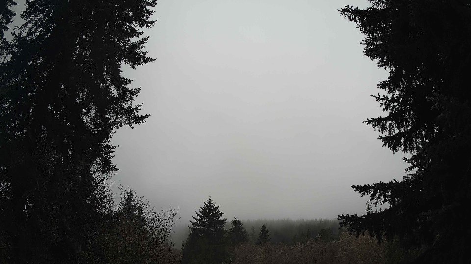 Pacific Northwest skyline timelapse frame from Jan 14th, 2026 at 9:15 AM