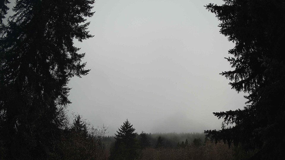 Pacific Northwest skyline timelapse frame from Jan 14th, 2026 at 9:30 AM