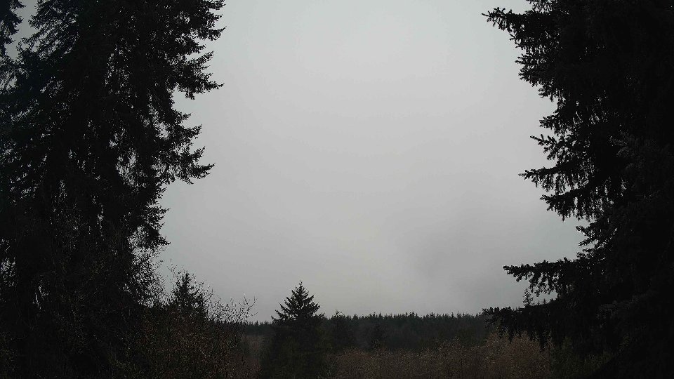Pacific Northwest skyline timelapse frame from Jan 14th, 2026 at 10:00 AM