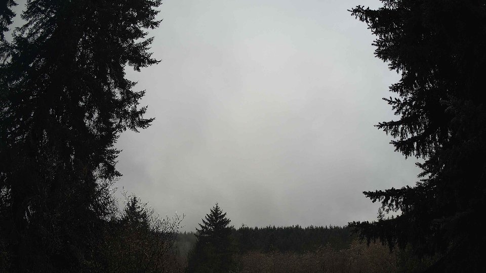 Pacific Northwest skyline timelapse frame from Jan 14th, 2026 at 10:15 AM