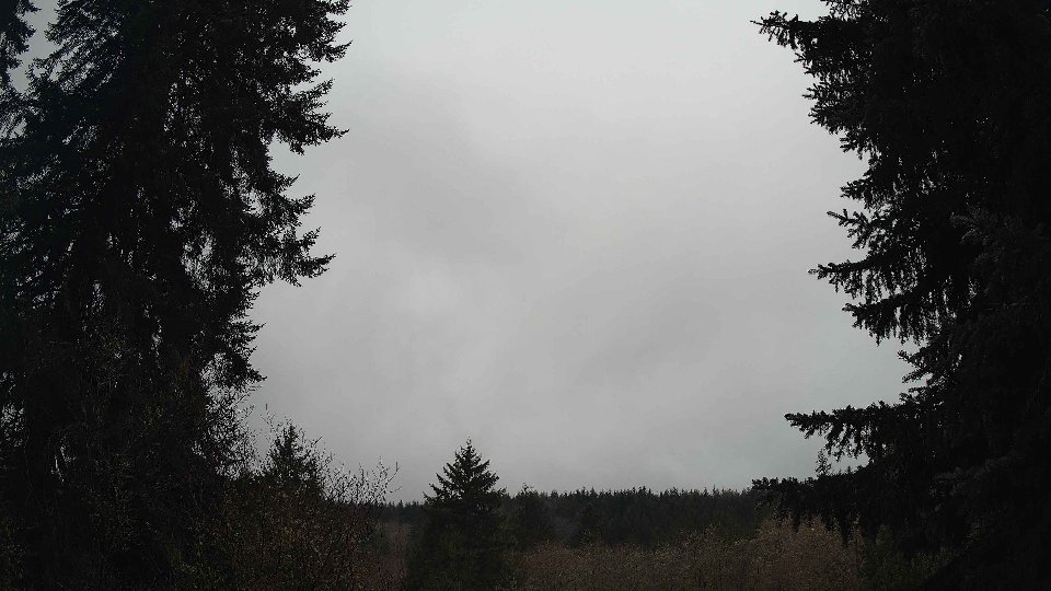 Pacific Northwest skyline timelapse frame from Jan 14th, 2026 at 11:00 AM