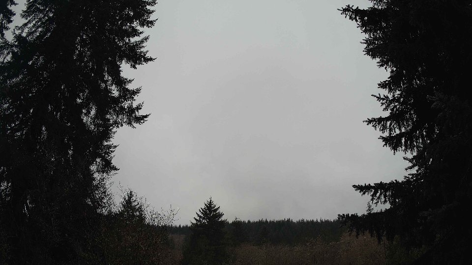 Pacific Northwest skyline timelapse frame from Jan 14th, 2026 at 11:45 AM
