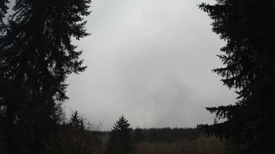 Pacific Northwest skyline timelapse frame from Jan 14th, 2026 at 12:00 PM